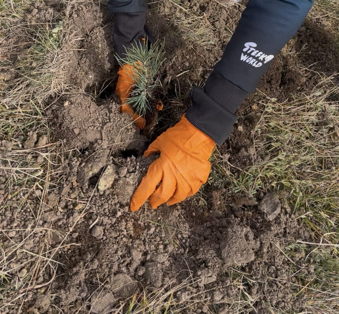 WhatsApp Image 2025-10-21 at 4.25.21 PM.jpeg