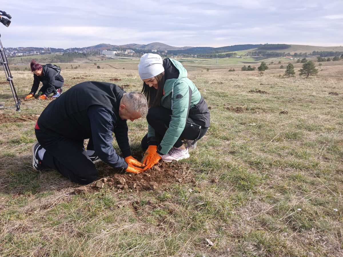 WhatsApp Image 2025-10-21 at 4.25.20 PM.jpeg