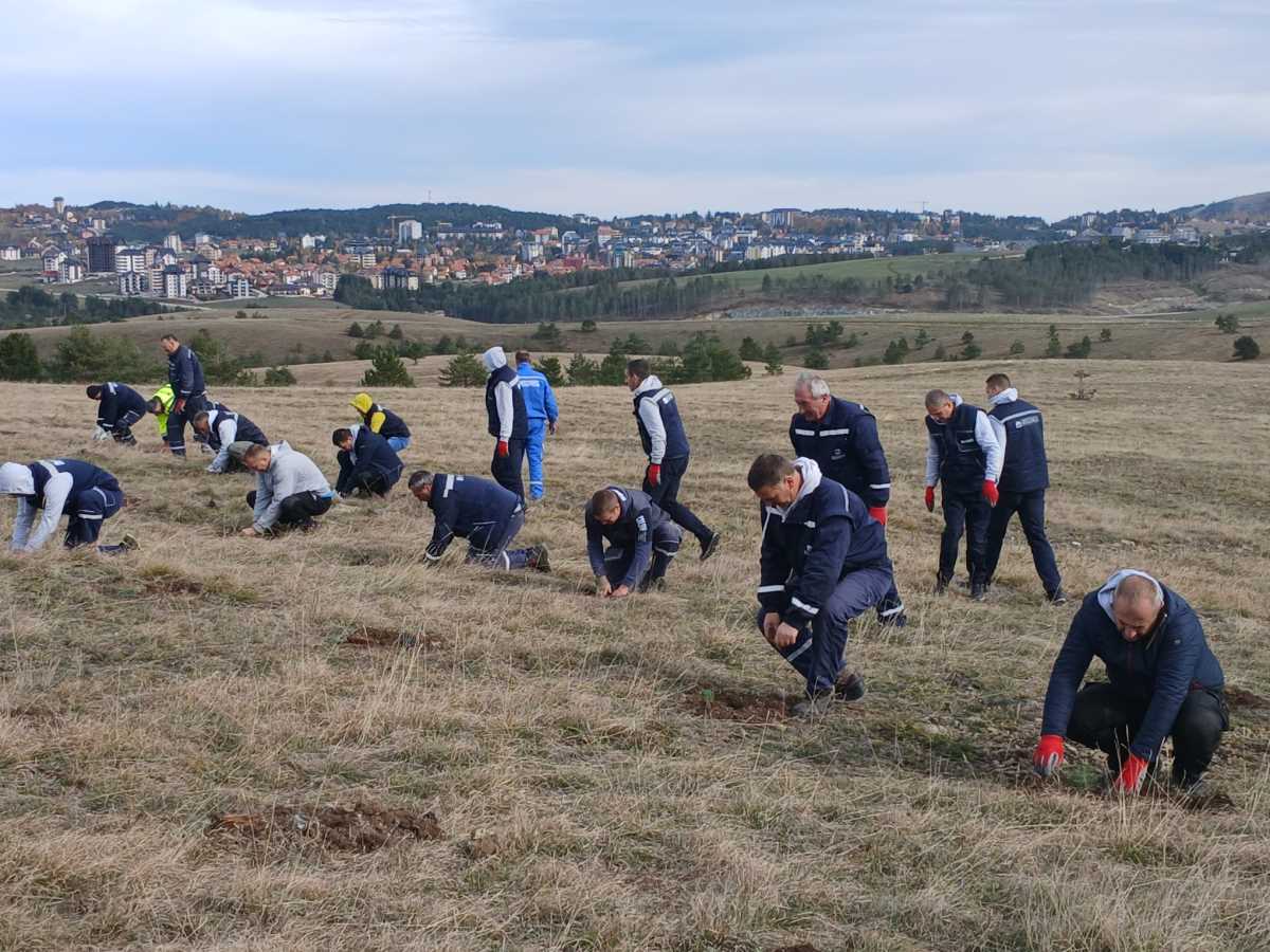 WhatsApp Image 2025-10-21 at 4.25.19 PM.jpeg