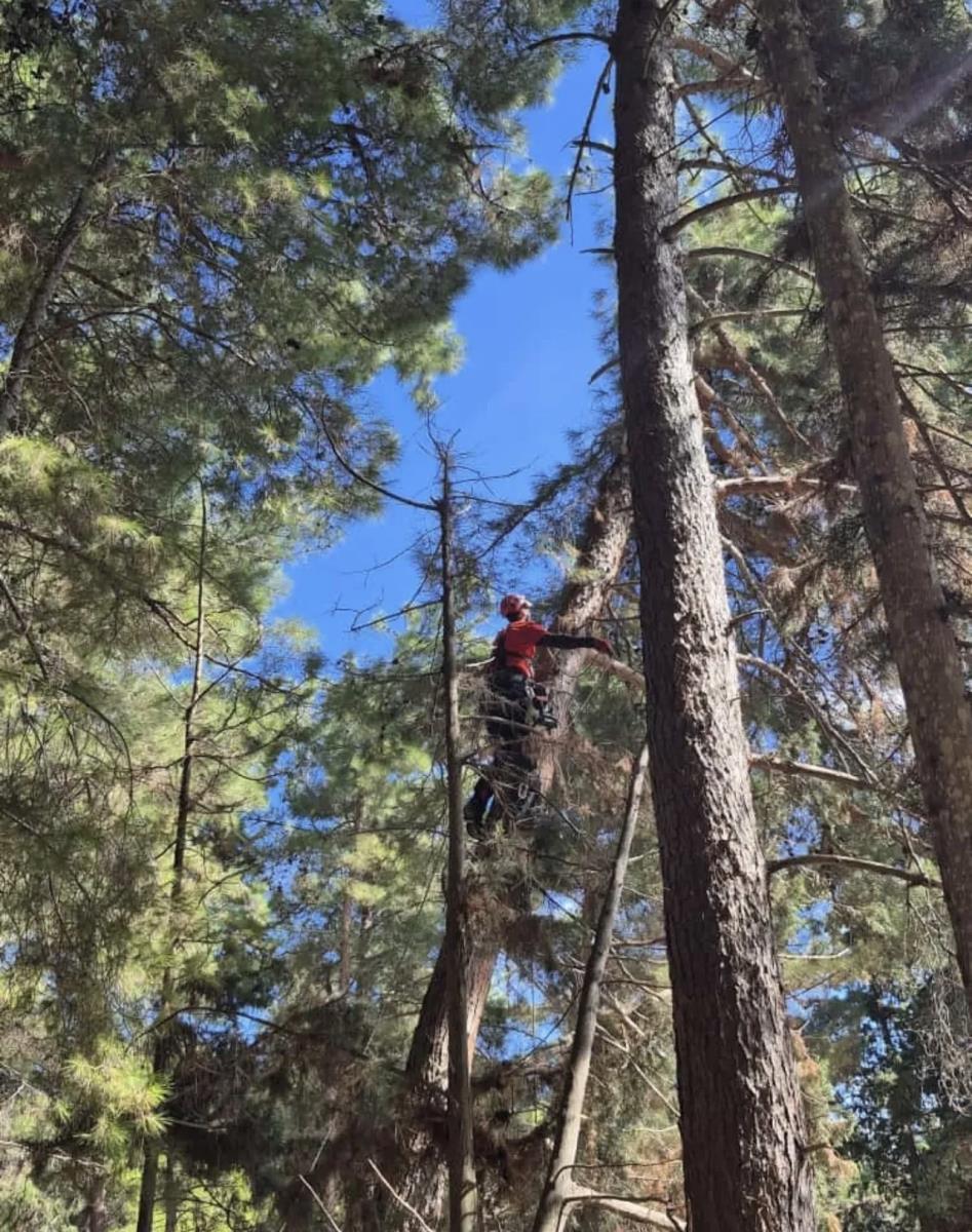 Sveta srbija (4).jpg