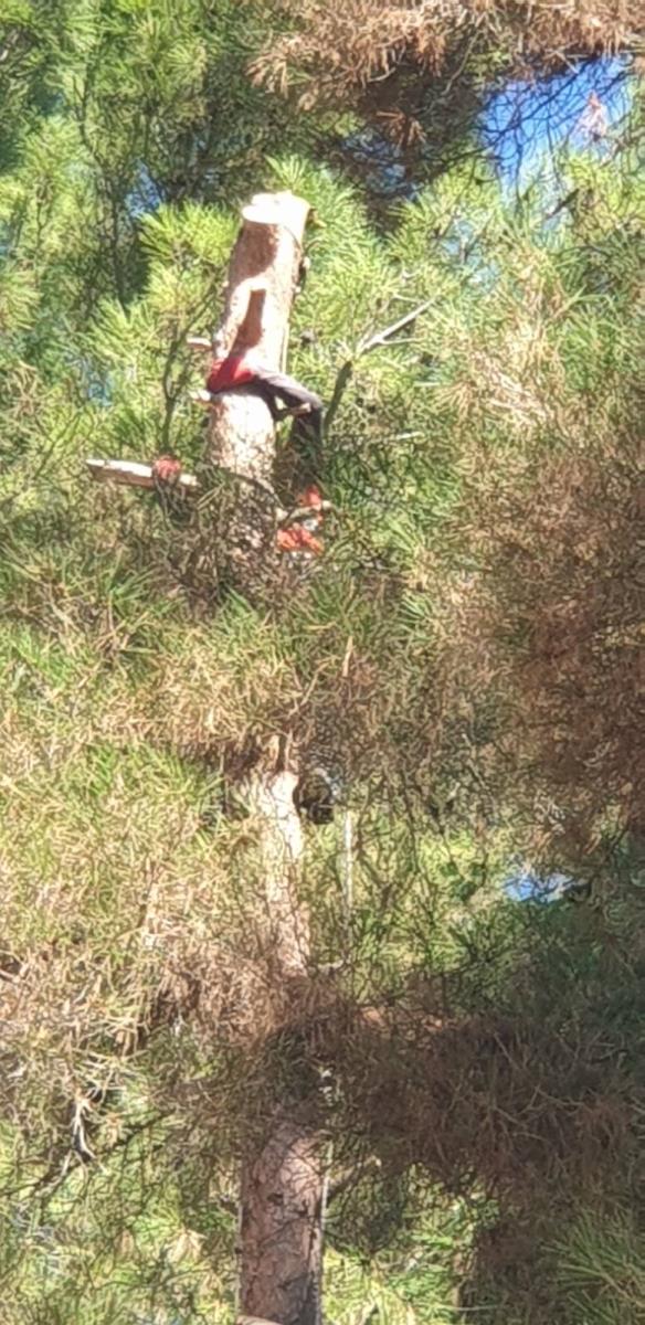 Sveta srbija (9).JPG