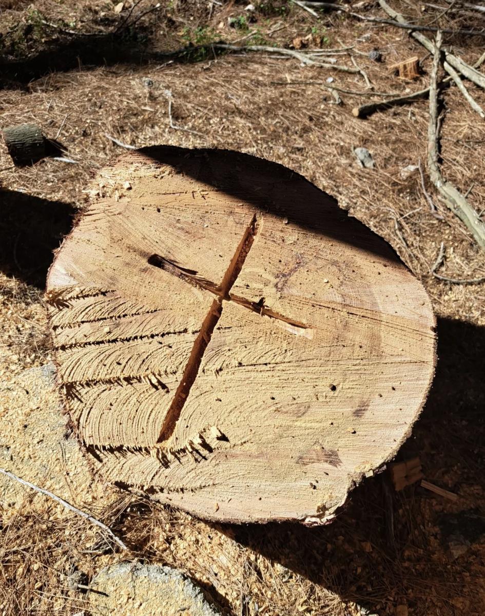 Sveta srbija (11).jpg