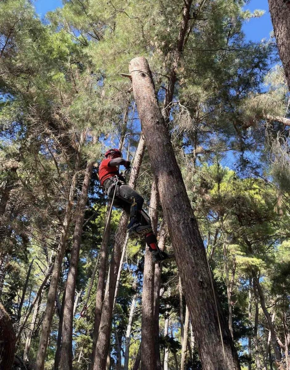 Sveta srbija (13).jpg