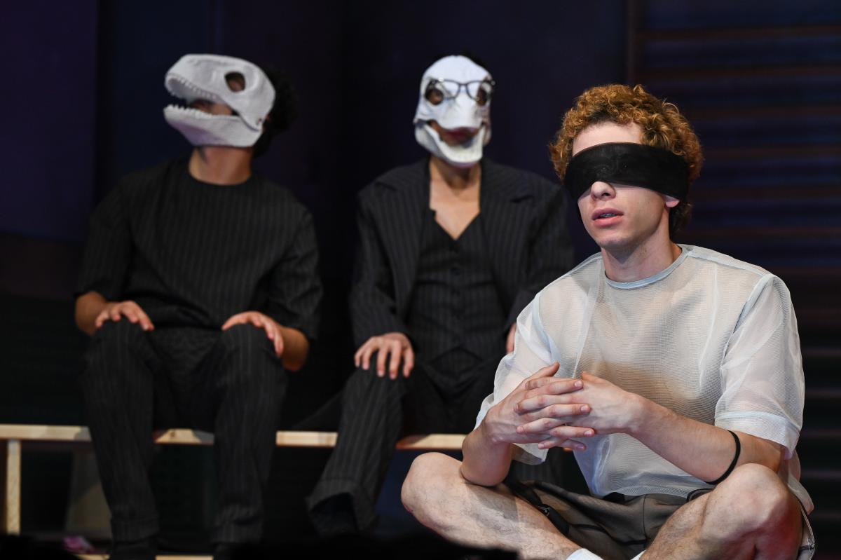 Pčele progon foto B Abdulovic (5).jpg