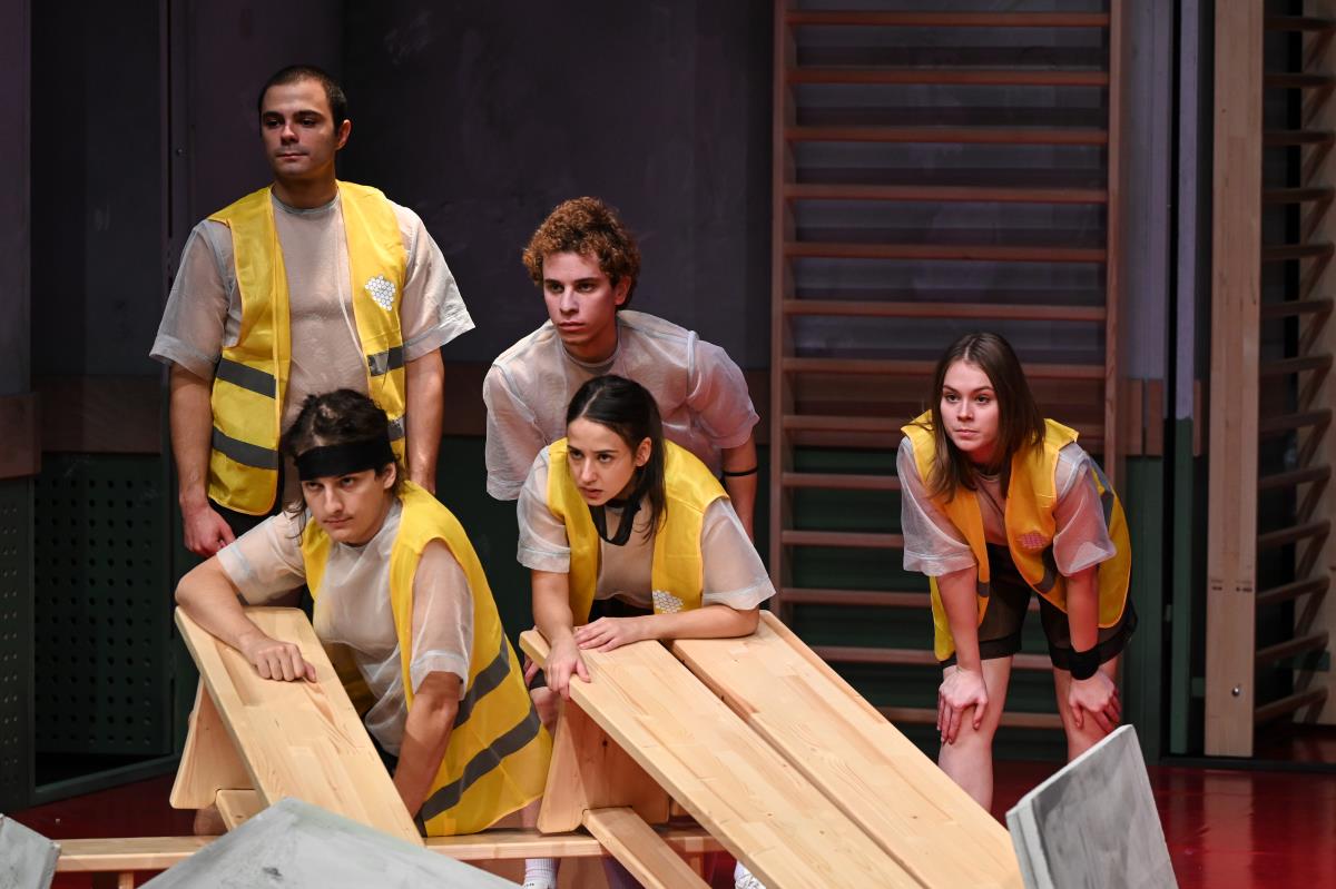 Pčele progon foto B Abdulovic (6).jpg