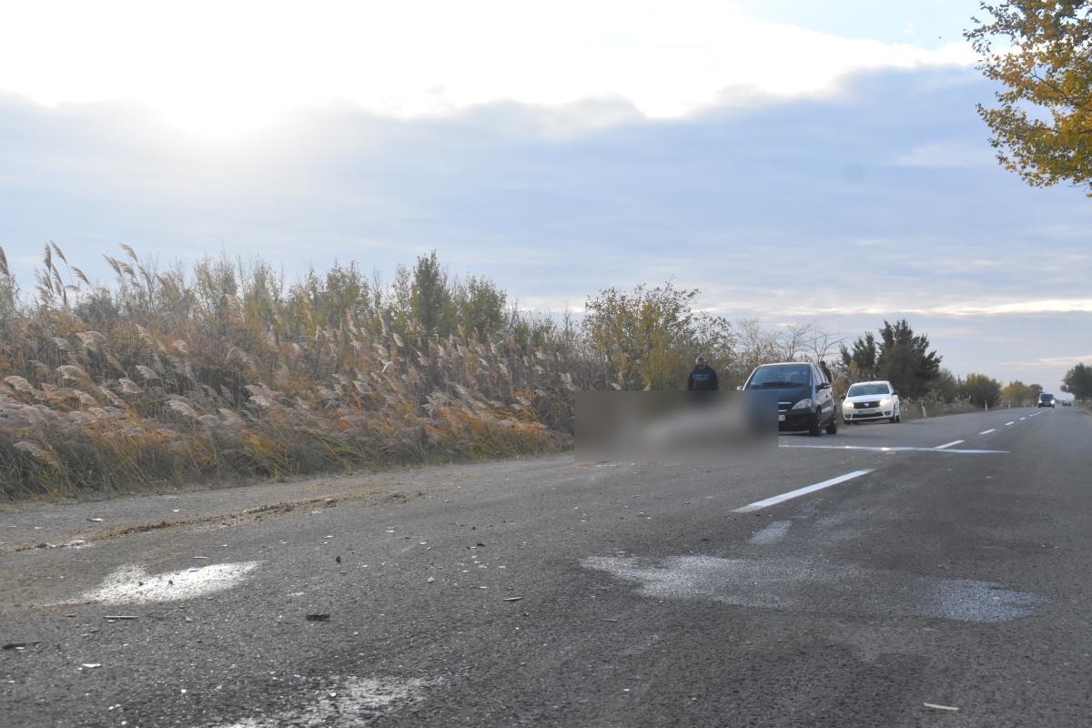 saobraćajna nesreća Kikinda stradao konj