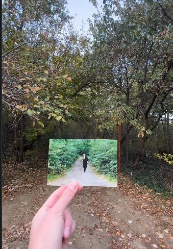 Screenshot 2025-10-23 145846.png