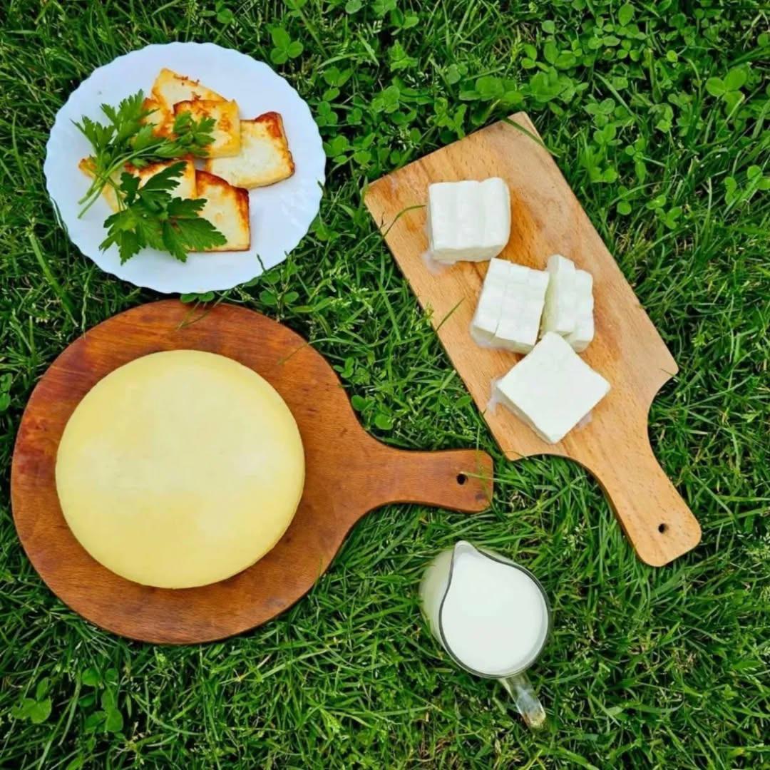 Farma koza Ivanović (6).jpg