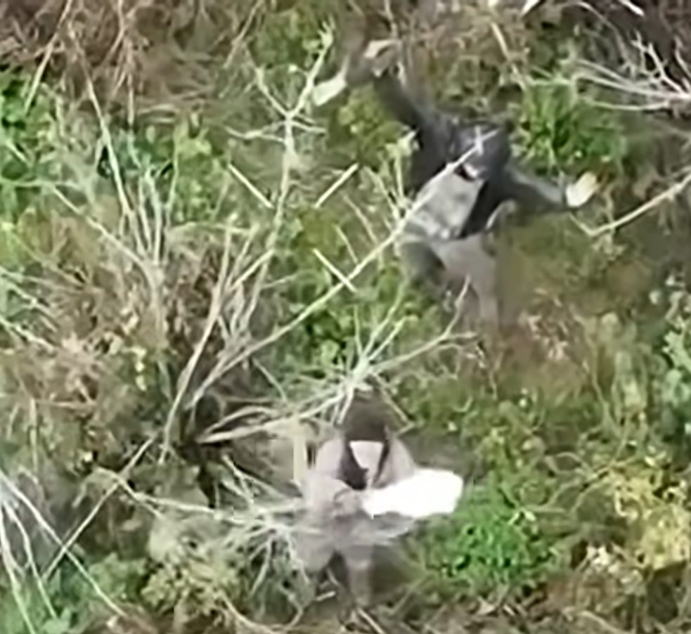 Ukrajinci zarobljeni Rusi