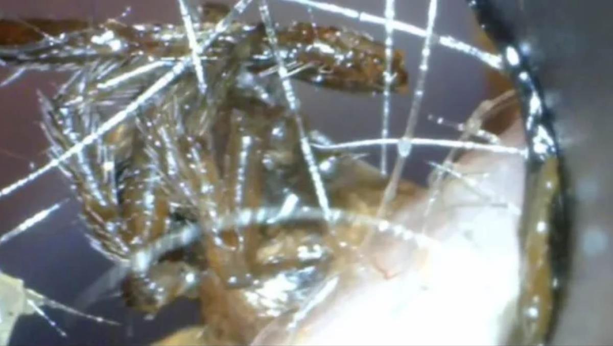 Screenshot 2025-10-24 134711.png