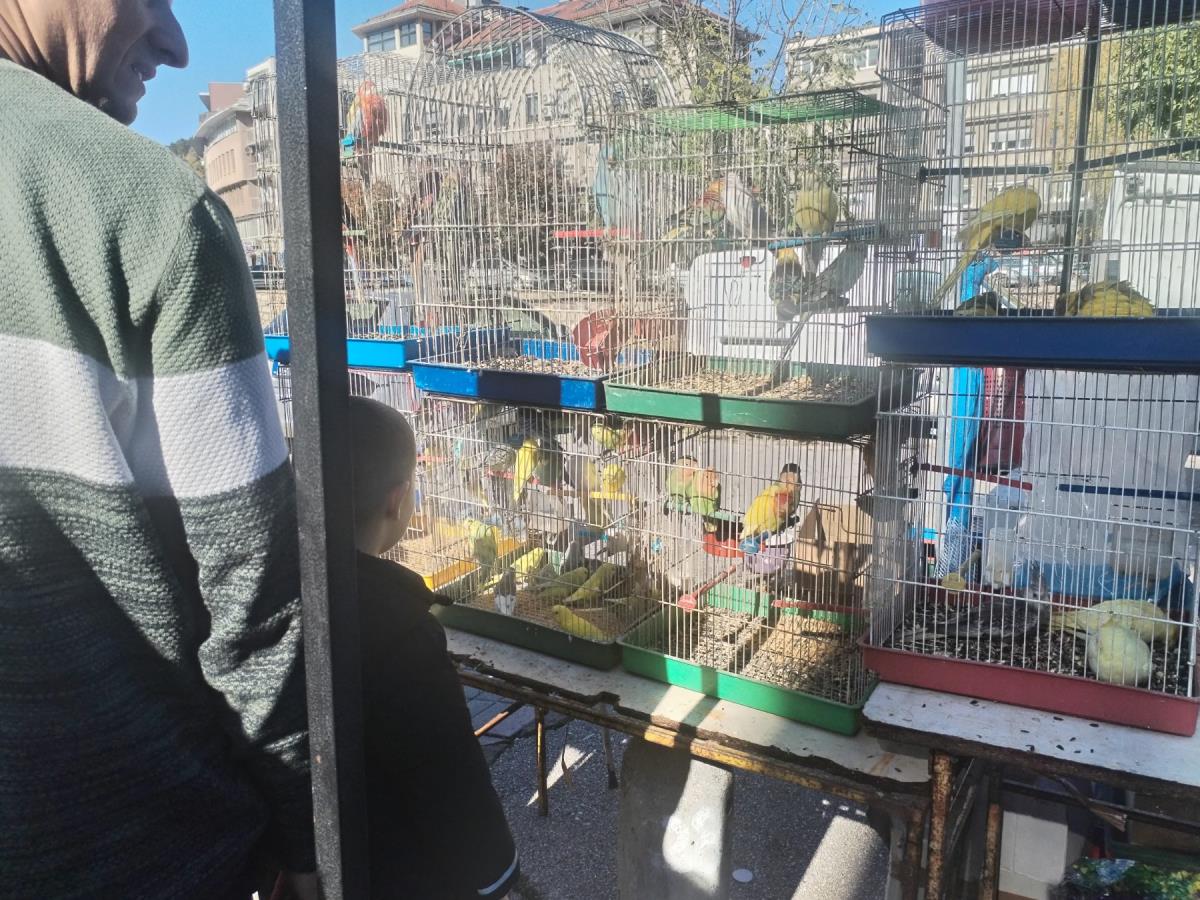 Užice - Vašar na Petkovicu