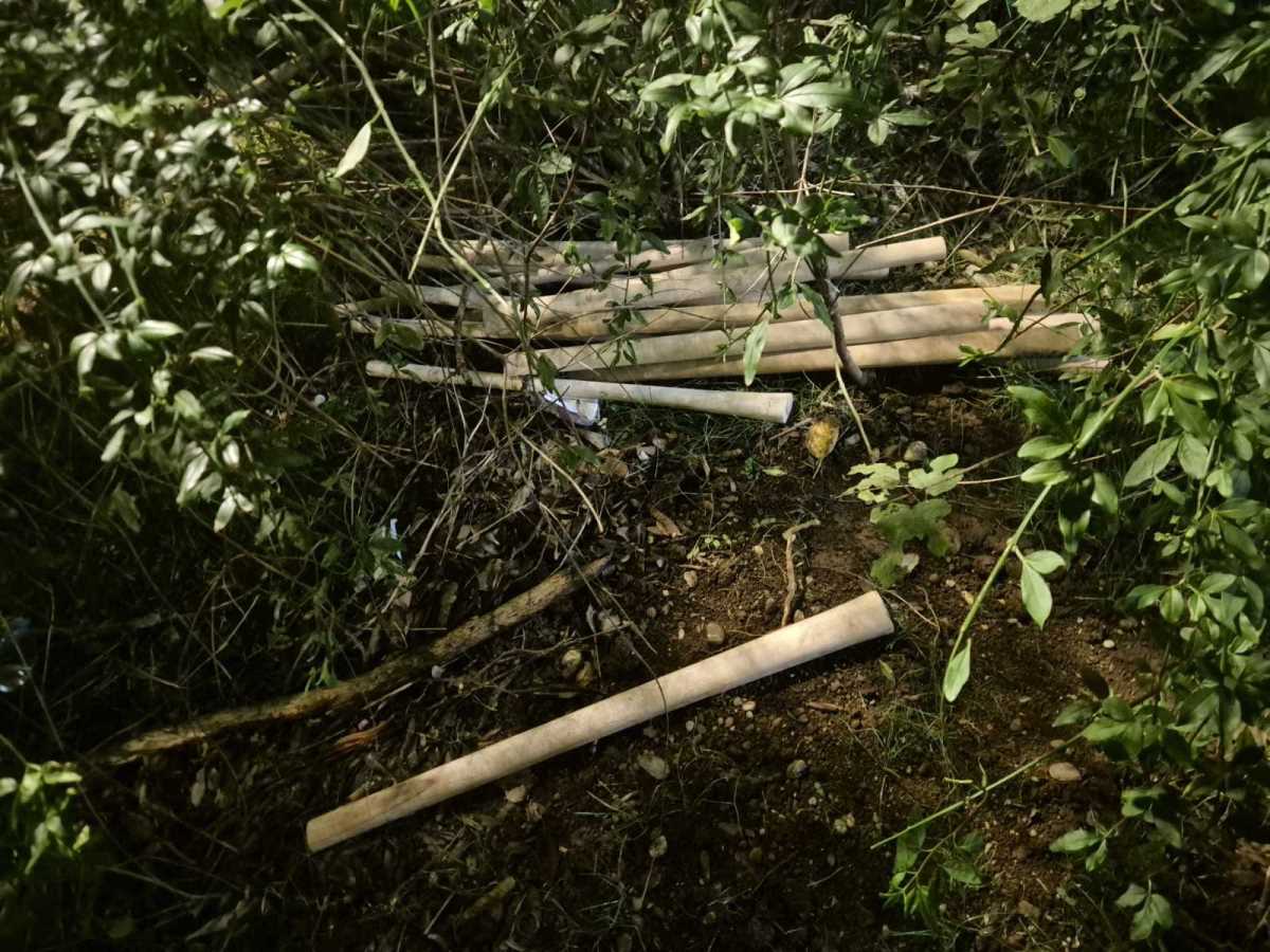 bejzbol palice (1).jpeg