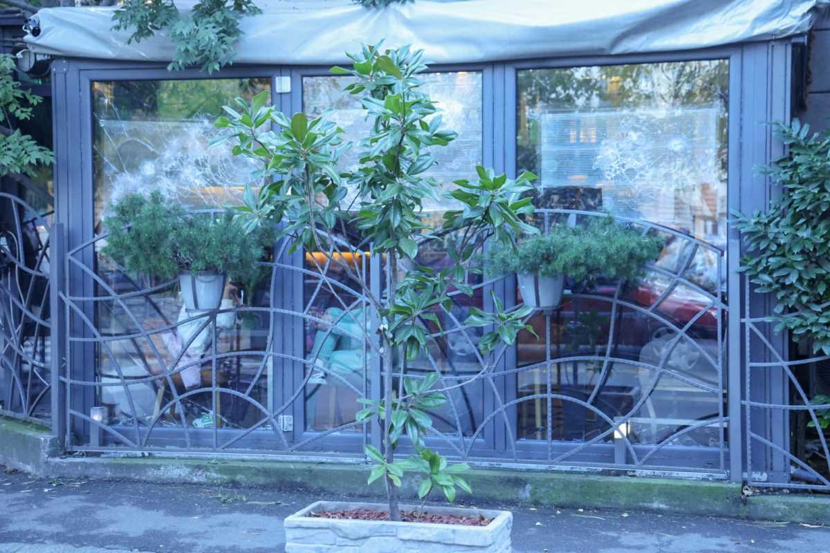 kafić Angelino Vračar