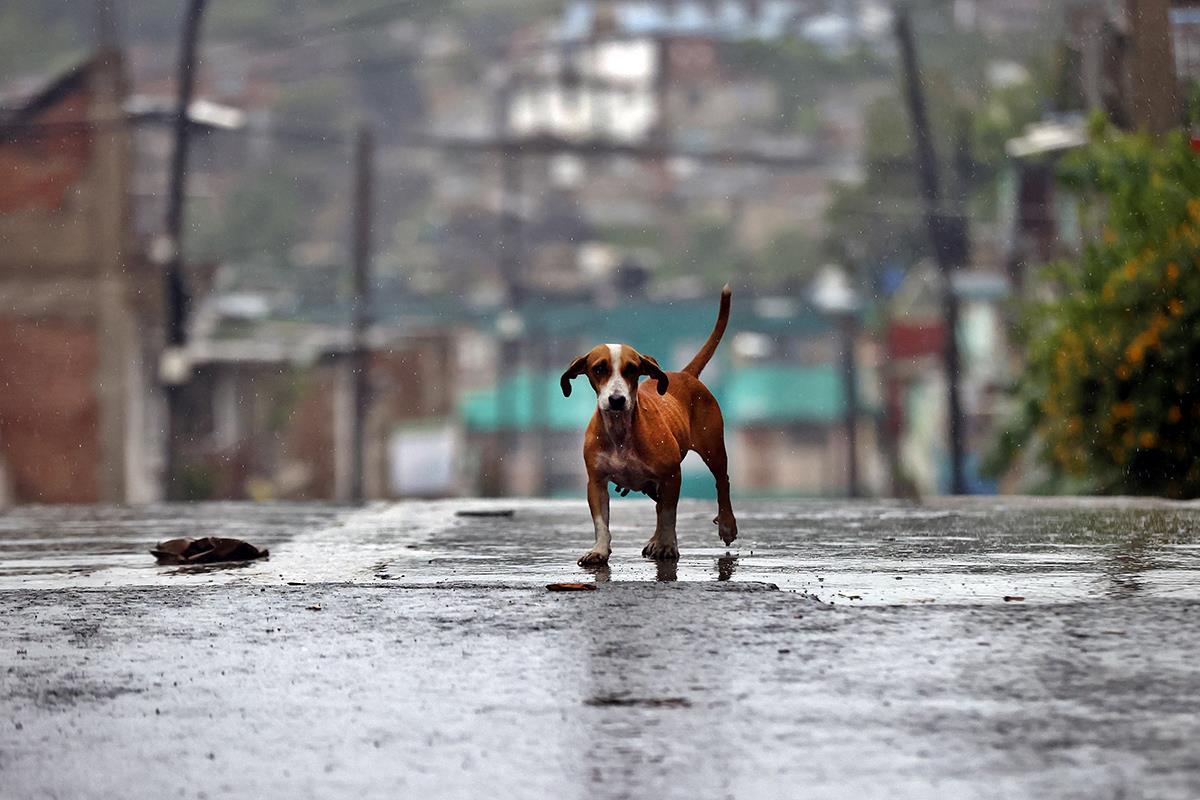 Tornado Melisa Kuba   hurricane melissa cuba (11).jpg