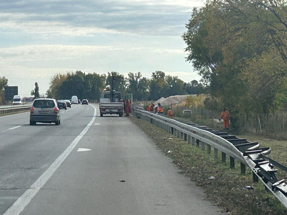 saobraćajna nesreća Novi Sad džudisti