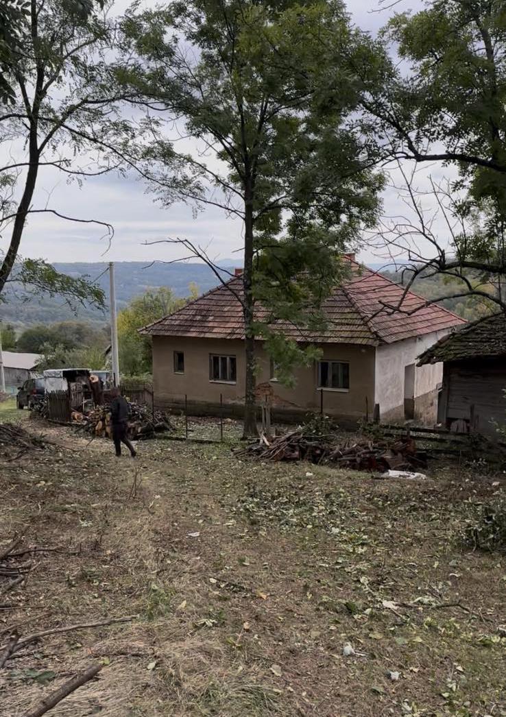 IMG-b17e779c3d31d1dbb1fcbe09c1bb85aa-V (1).jpg