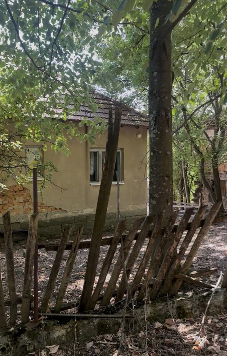 IMG-c6c7e35f7c5eb294db185c0eb1c71bd2-V (1).jpg