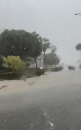 Screenshot 2025-10-30 125922.png