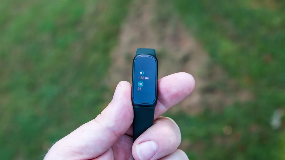 Fitbit (1).jpg