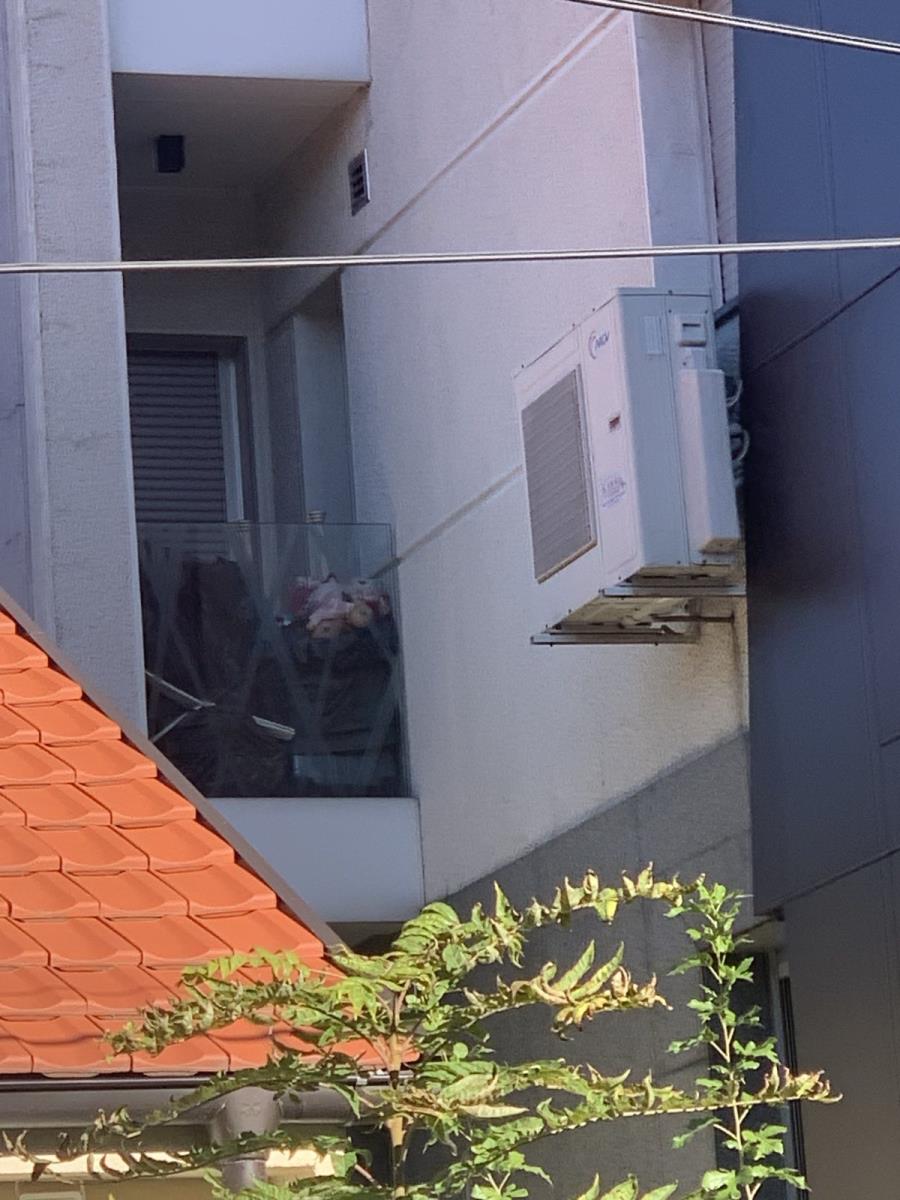 Ana Nikolić (4).jpg