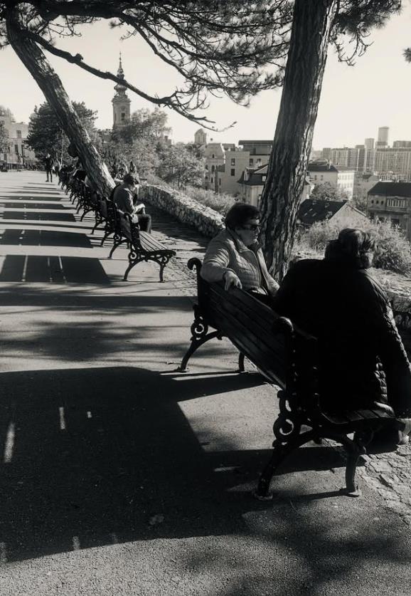 Volton Gogins u Beogradu