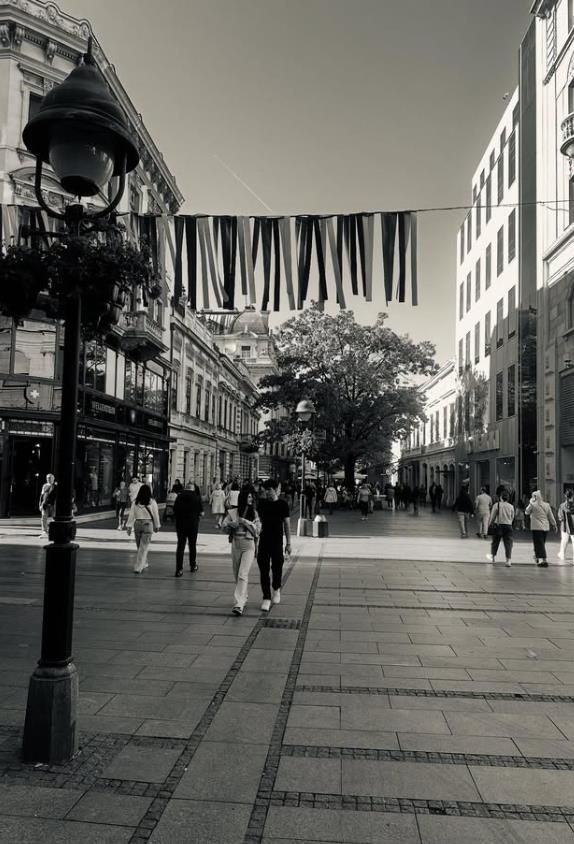 Volton Gogins u Beogradu