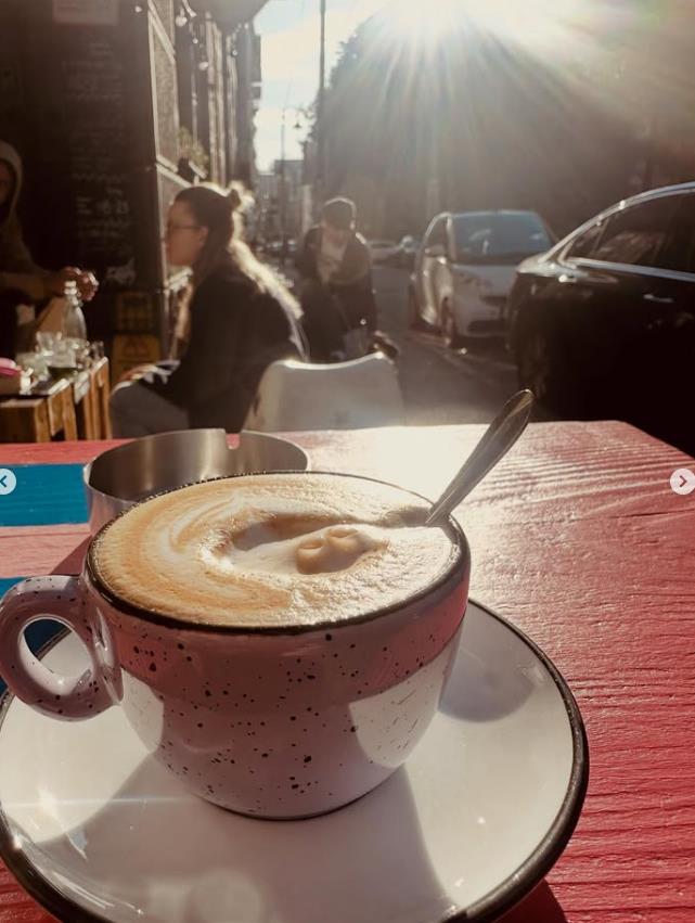 Volton Gogins u Beogradu