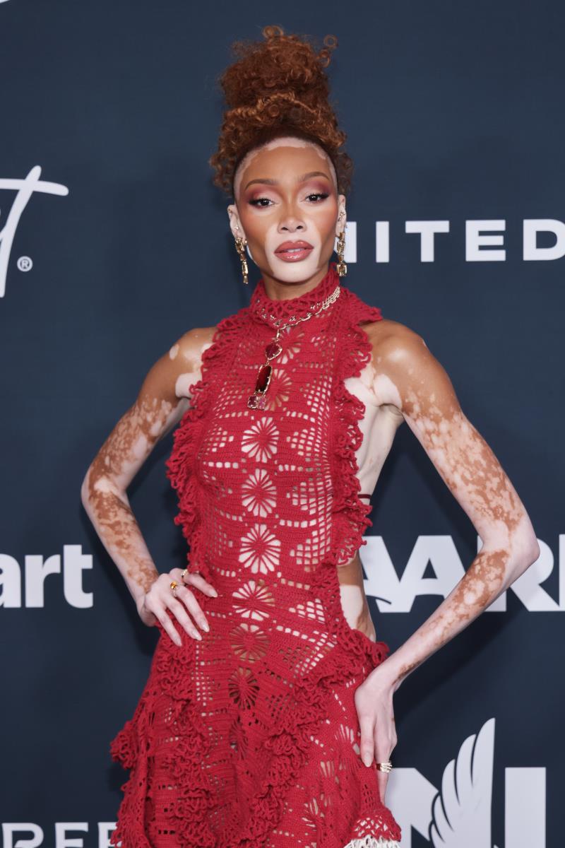 Vini Harlou na EBONY Power 100 Gala večeri