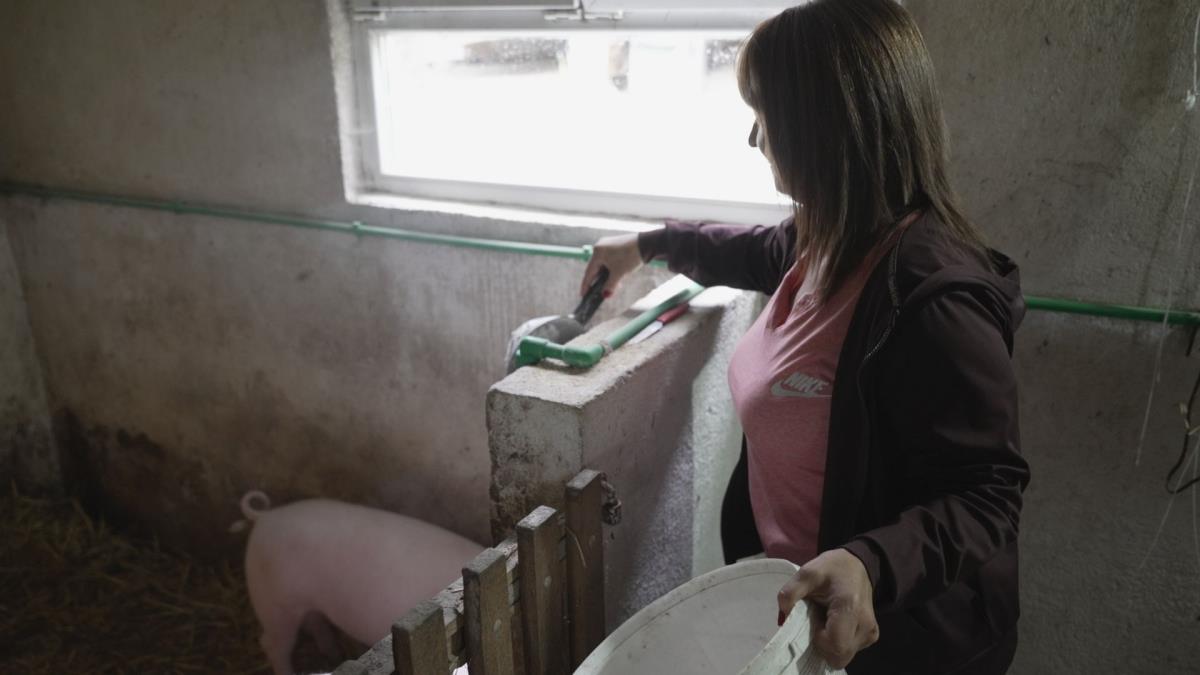 1762613305lucani-terzic-fotorina (4).jpg