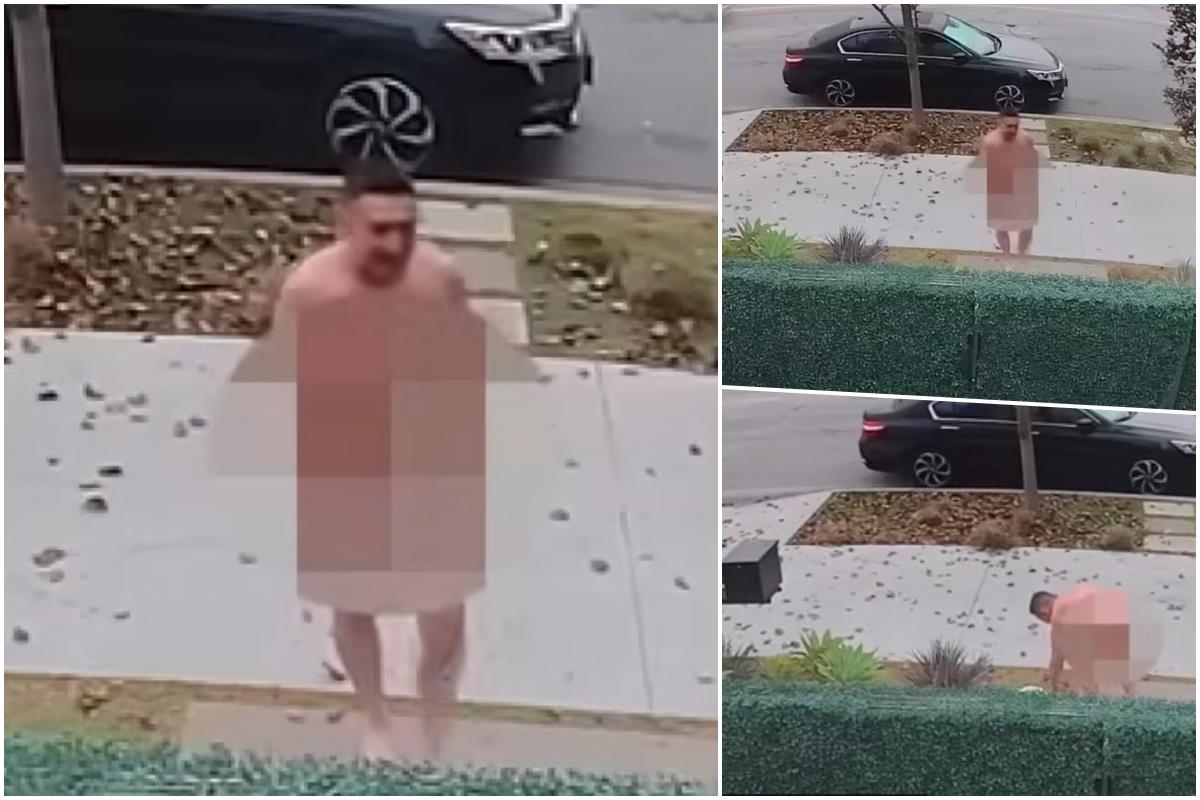 go čovek ubistvo studio