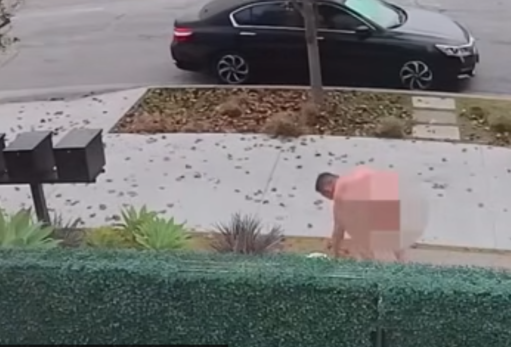 go čovek ubistvo studio