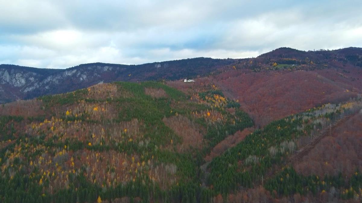 selo Dubrava tromeđa