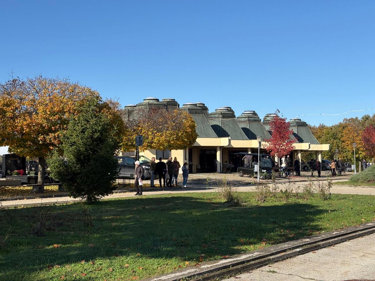 Rajko Šerifović (1).jpeg