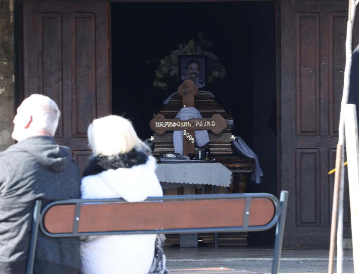 Rajko Šerifović (1).jpeg