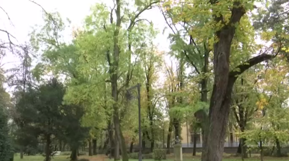 Vršački kesten Vasko Popa.png