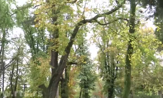 Vršački kesten Vasko Popa (5).png