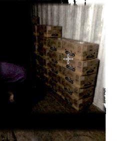 Kokain zaplenjen u Roterdamu balkanskom kartelu