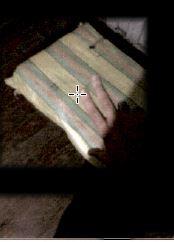 kokain Roterdam 3.jpg