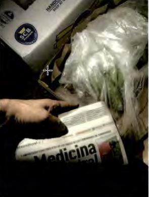 kokain Roterdam9.jpg