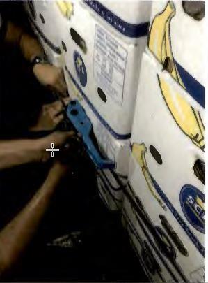 kokain Roterdam10.jpg