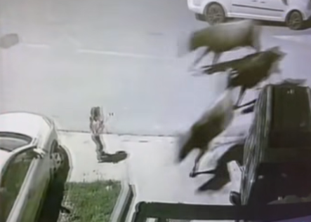 Screenshot 2025-11-13 110558.png