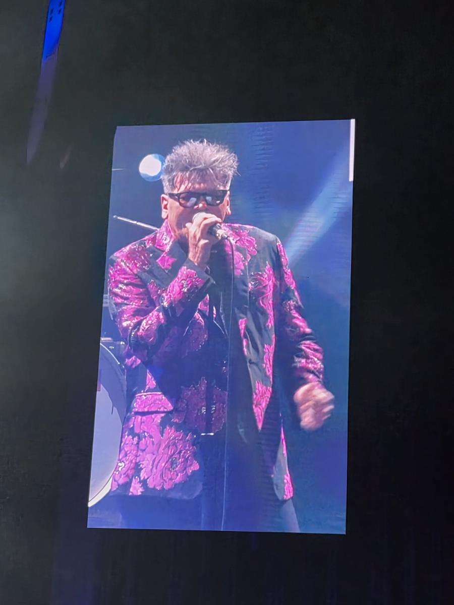 crvena jabuka (3).jpg