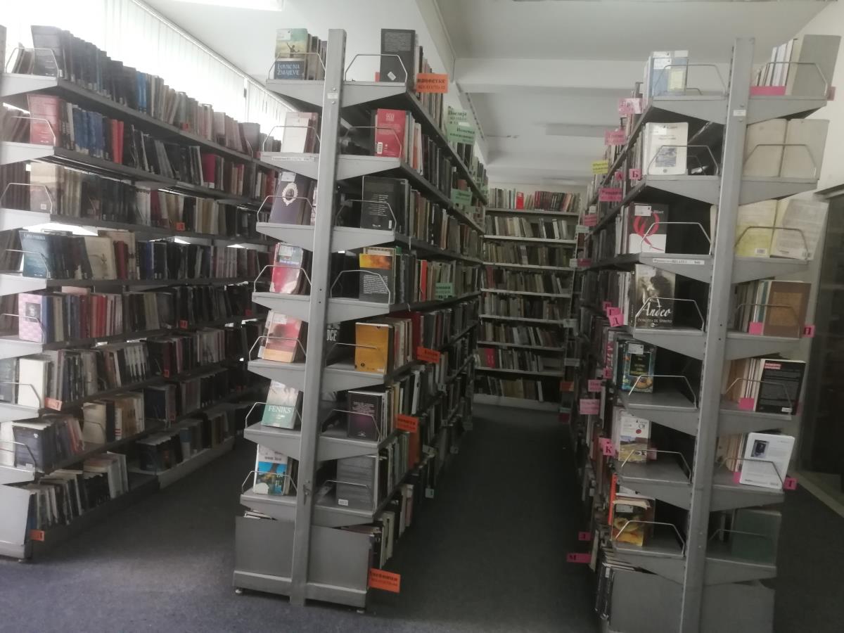 BIBLIOTEKA5.jpg