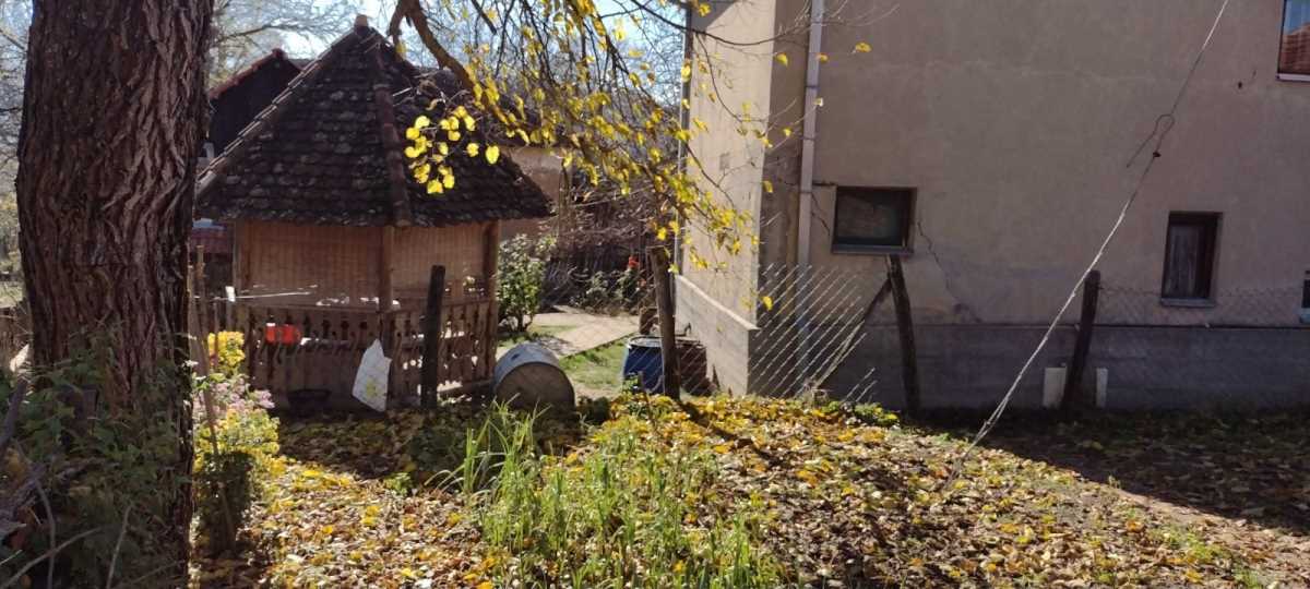 Babušnica mesto zločina