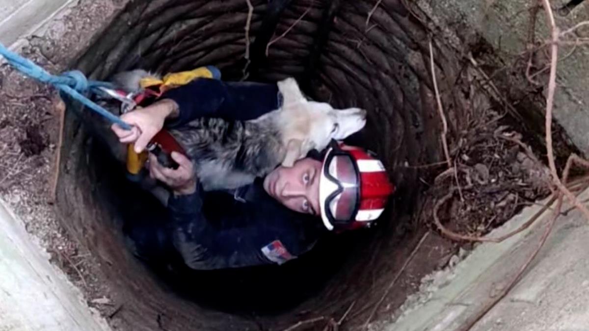 štene spaseno bunar Topolovnik