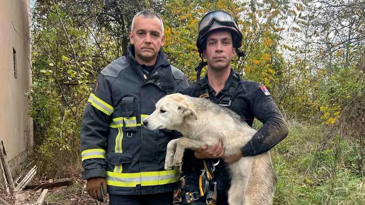 štene spaseno bunar Topolovnik