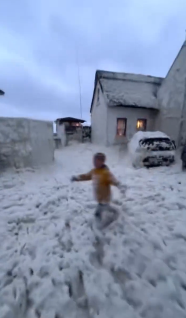 Irska Dablin morska pena