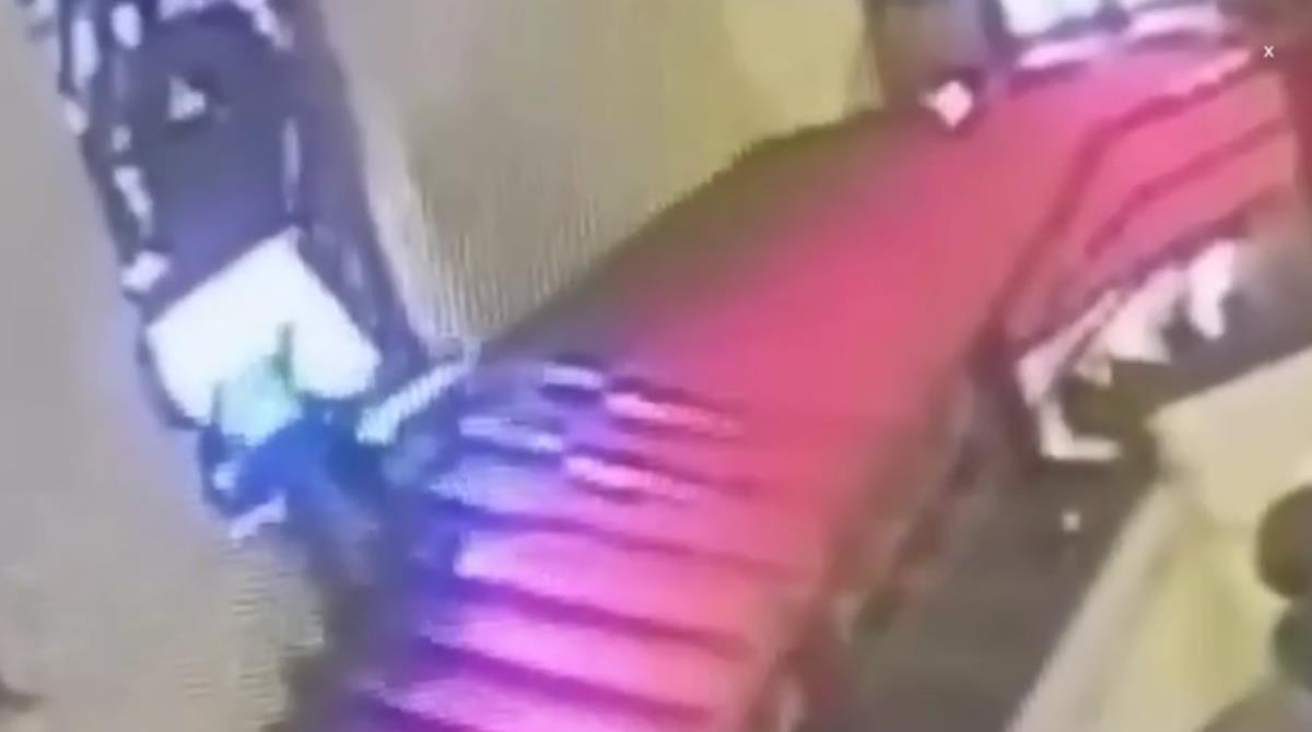 Screenshot 2025-11-15 222407.jpg