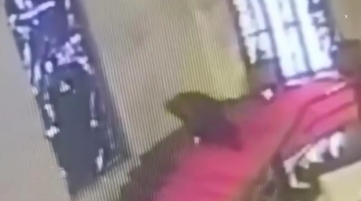 Screenshot 2025-11-15 222313.png