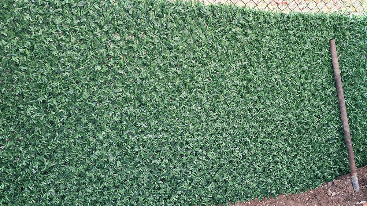 Vranje Zelena ograda